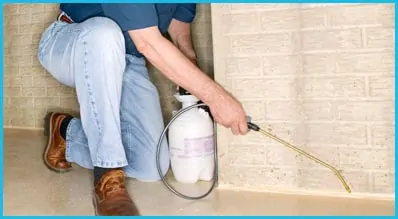 Successful Termite Control Service by Termite Fumigation Beverly Hills
