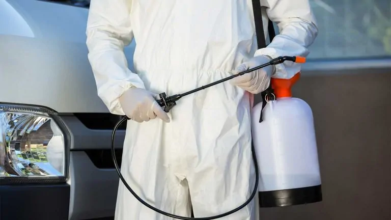 Cost-effective Termite Control Services