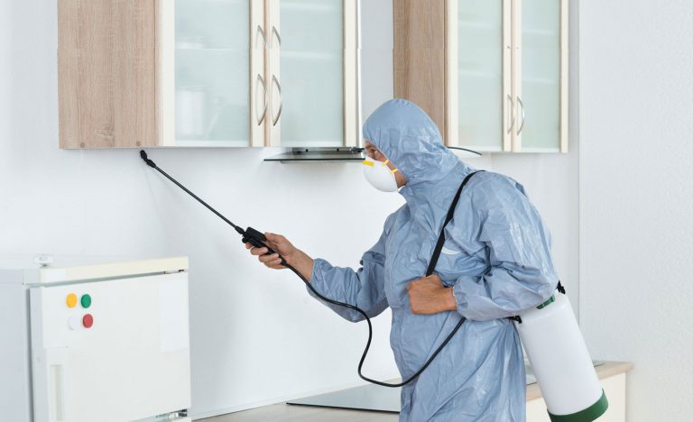 Termite Prevention Measures