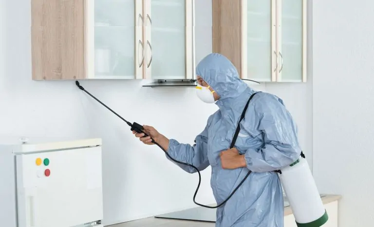 Termite Prevention Measures