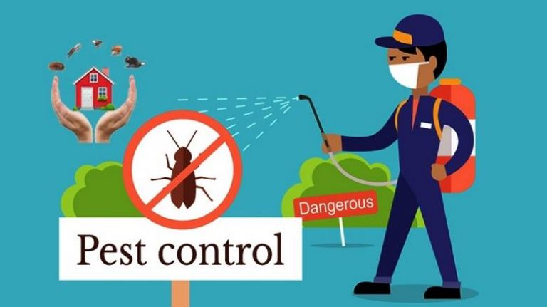 Building Design and Maintenance Guidelines for Pest Control