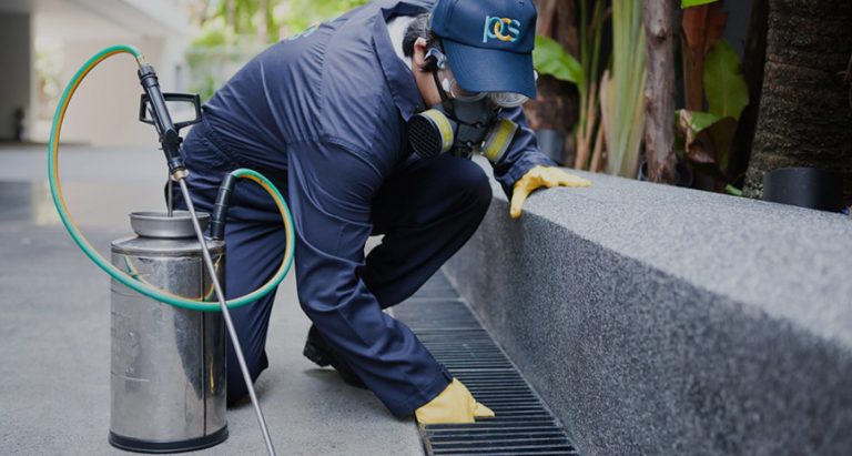 Effective Pest Control Service in Woodland Hills