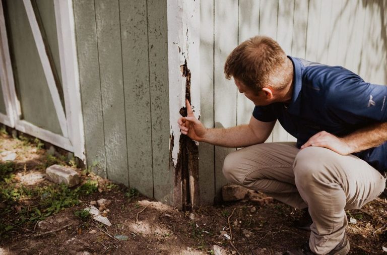 Checklist for Termite Inspection