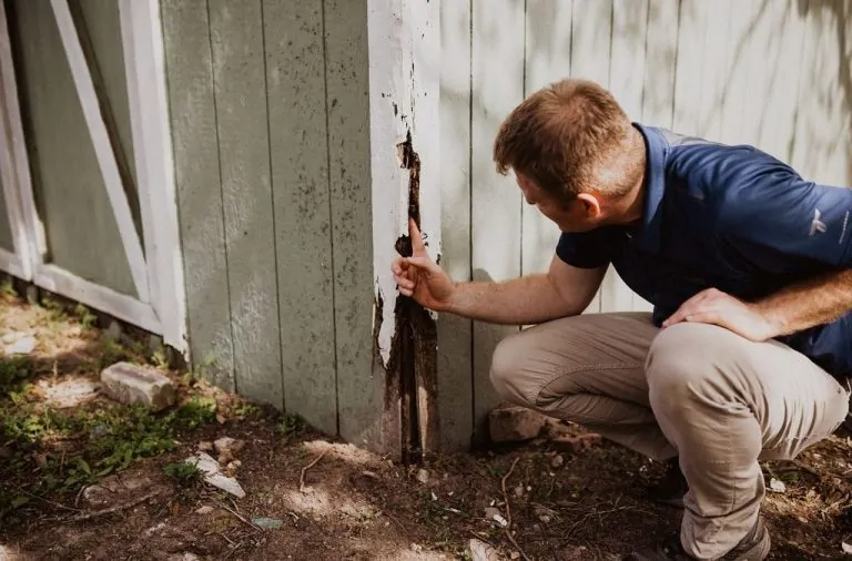 Checklist for Termite Inspection