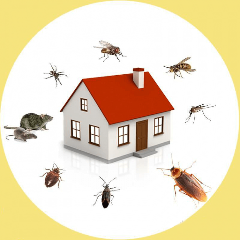 Strength of Pest Control Glendale