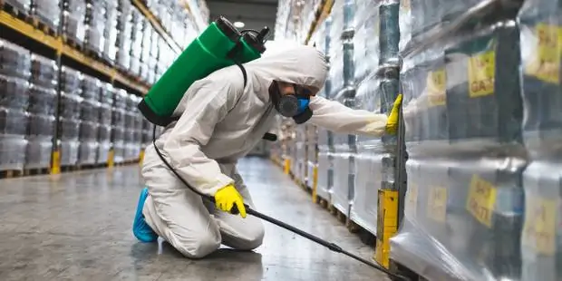 Commercial Termite Treatment Services in Los Angeles