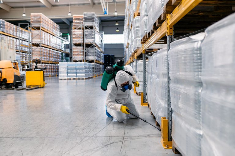 Signs of Pests in Warehouse