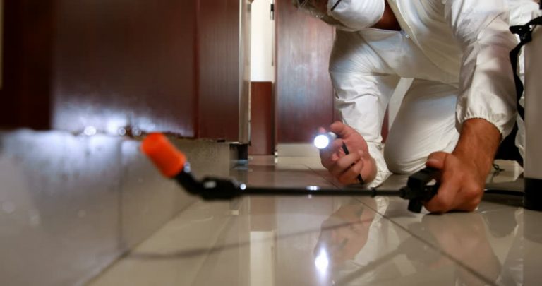 Fumigation to make your House Termite Free