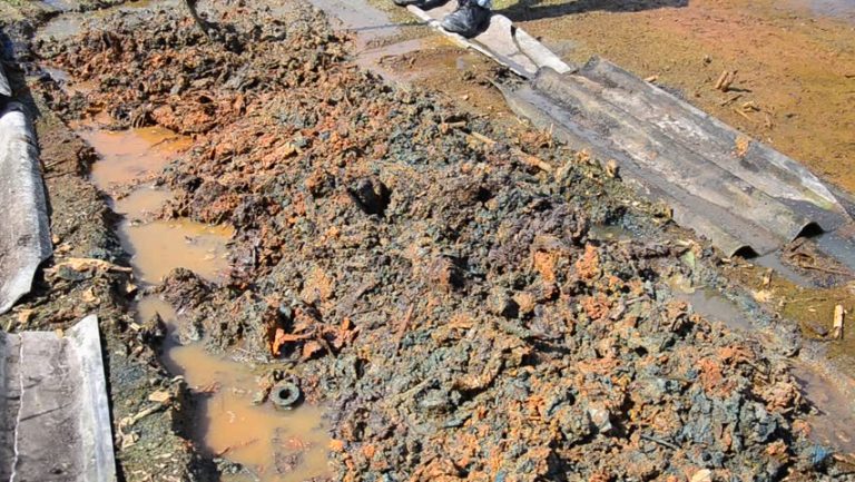 Building Inspection and Chemical Soil Treatment