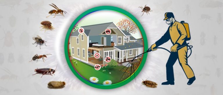 Government Approved Termite Control Services