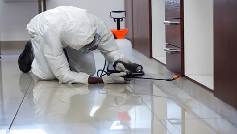 Termite Treatment Service in Winter