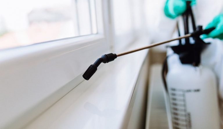 Home Remedy for Termite Control