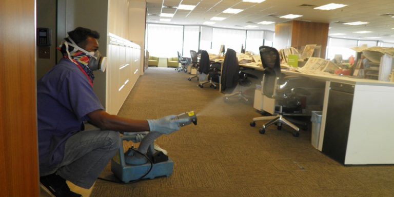 Commercial Pest Control Services for IT Companies