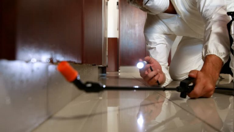 Health Hazard Precautions from Chemicals used for Pest Control