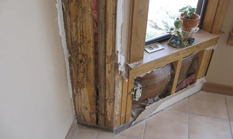 Termite Damage Repair Service