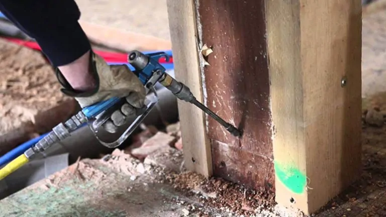 Access the Right Professional for Termite Treatment