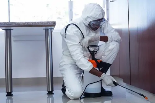 How to Control Termites through Construction Methods