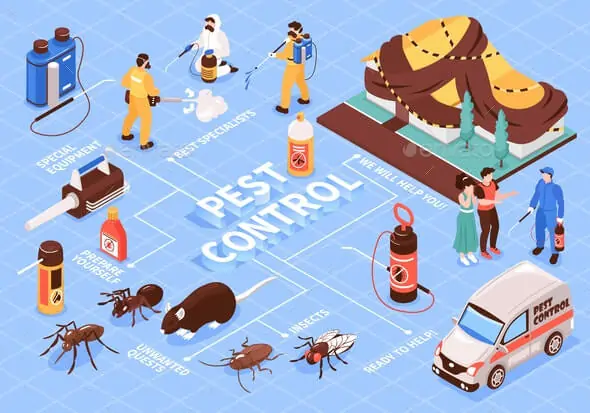 Looking for Commercial Pest Control Solutions
