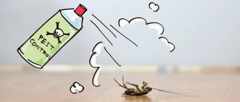 Pre-construction Termite Control Practices