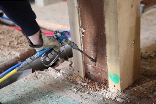 Anti-termite Treatment and Termite Monitoring Services