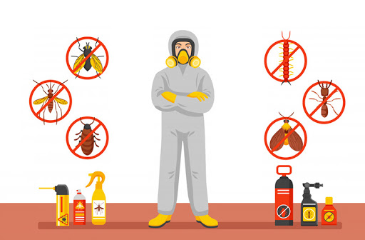 Find your Suitable Pest Control Solution Provider