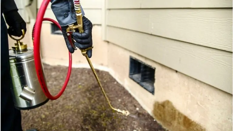 Sophisticated Termite Control Service in Los Angeles