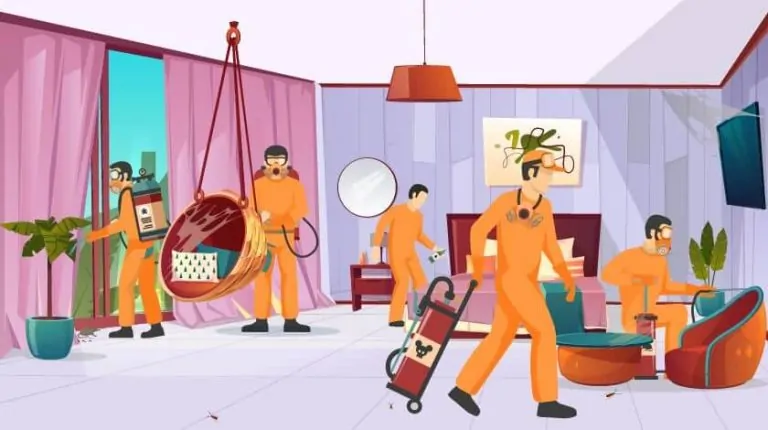 What is So Special About Termite Control Solutions of MyTermite