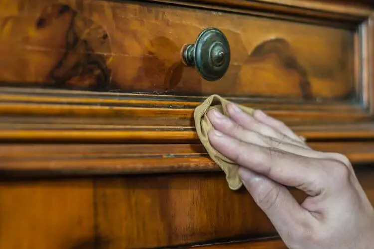 Need to Keep Wooden Furniture Termite Free