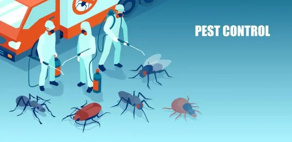 You could request a quote at quality pest control services in Malibu