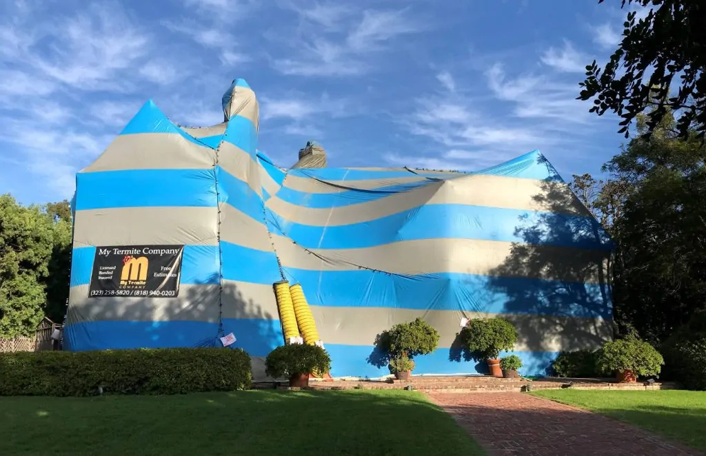 termite fumigation at los angeles mansion