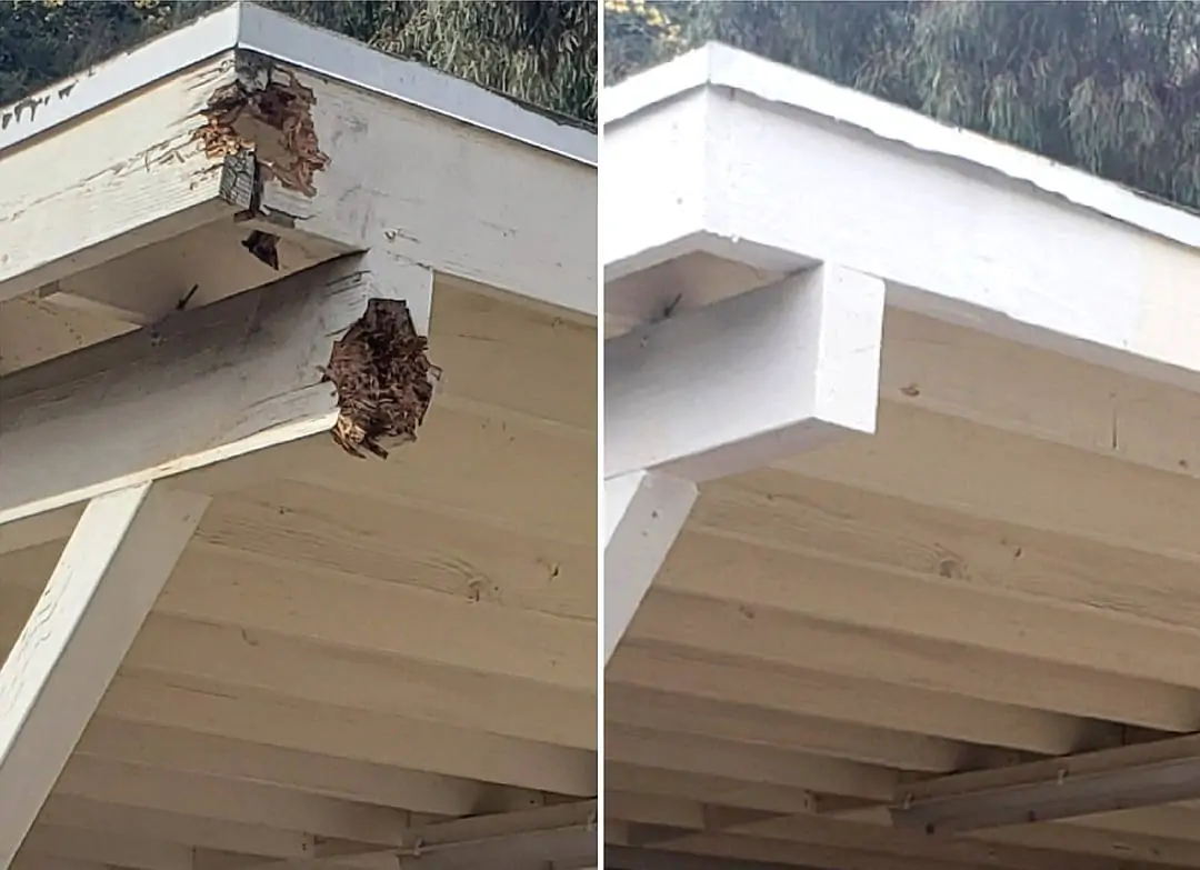 Professional Termite Wood Repair by My Termite Company in Los Angeles County