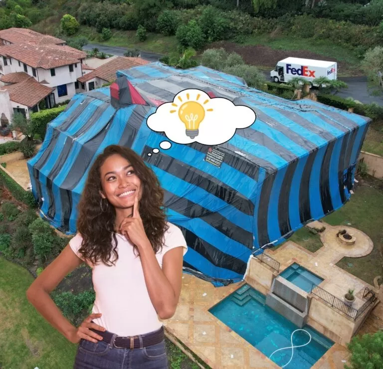Fumigation or Localized Treatment?