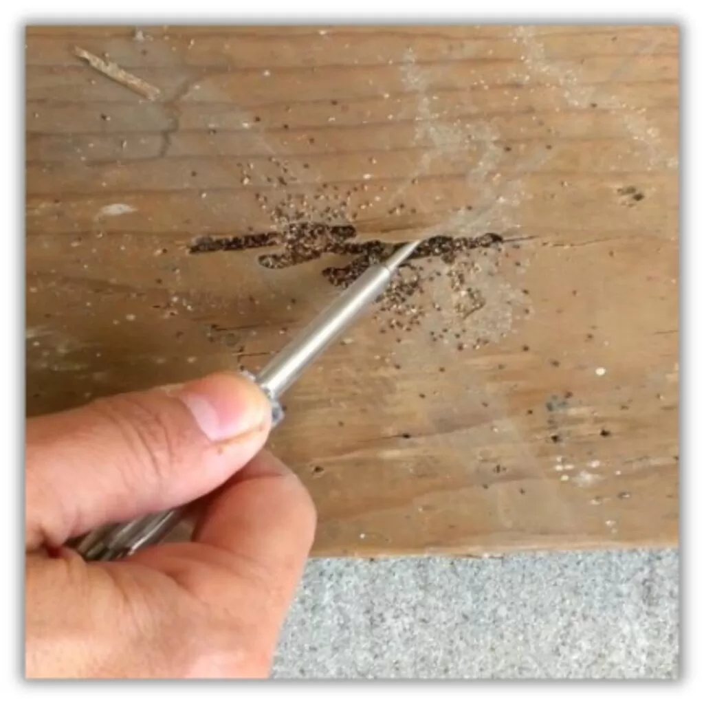 Drywood Termite Damage and Frass with Shadow