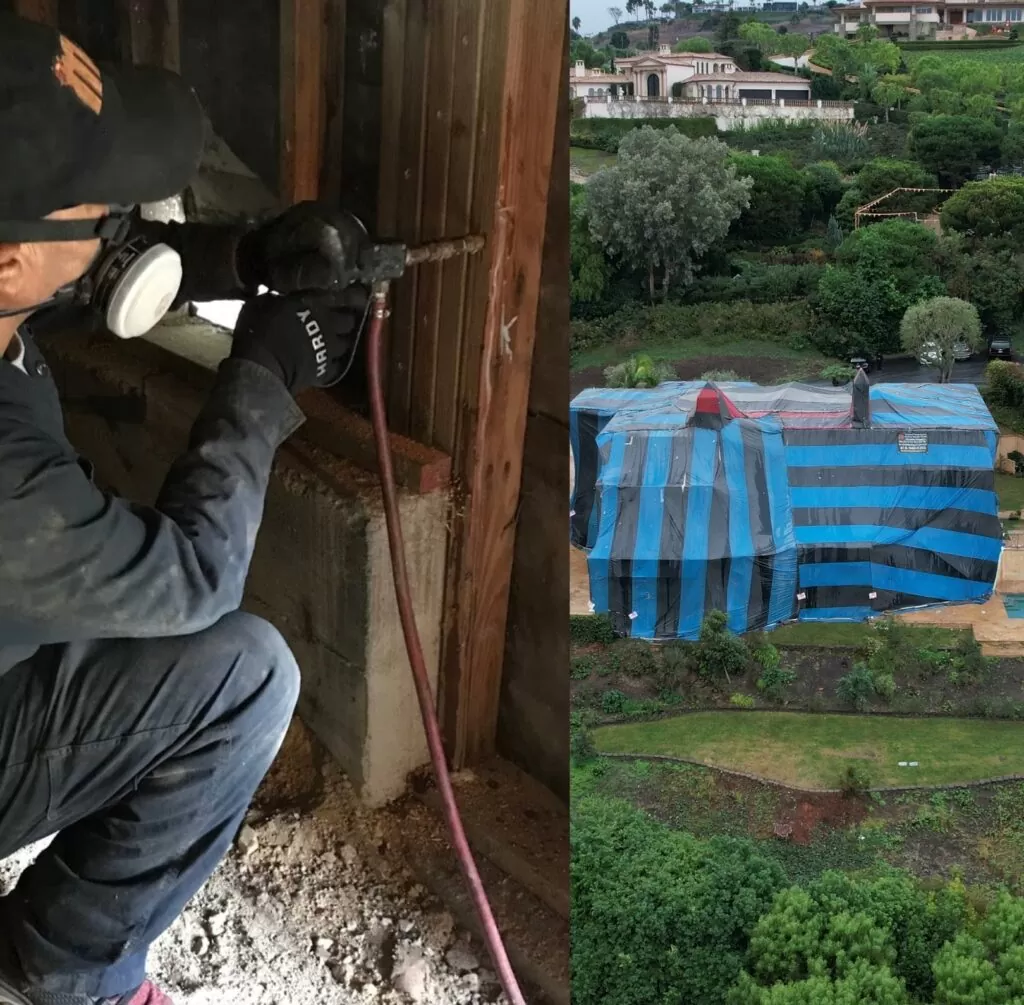 Local Termite Treatment VS Fumigation