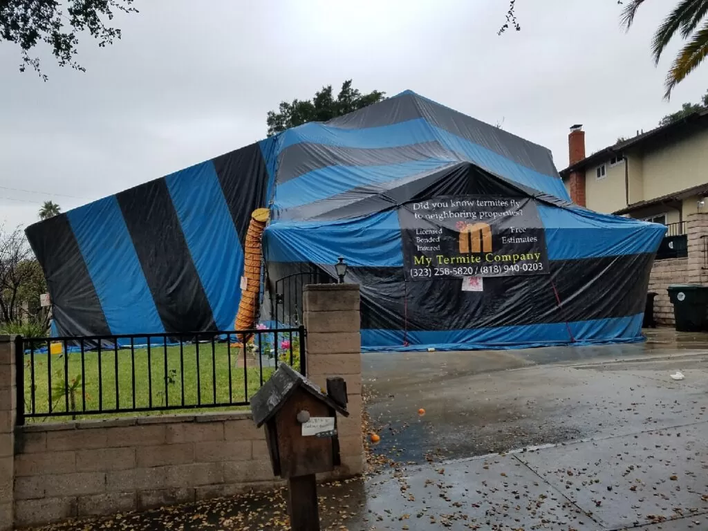 Fumigation Home