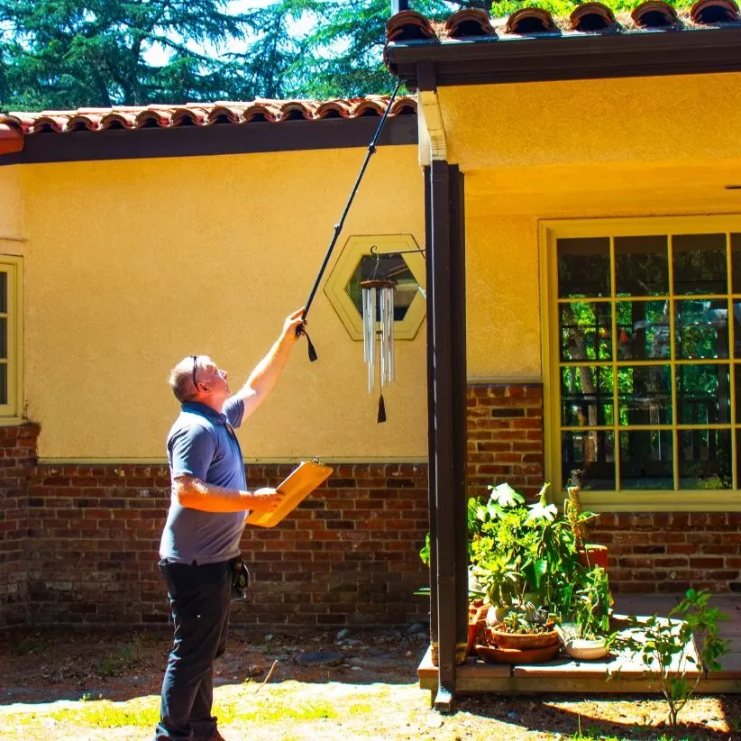 Termite Inspection