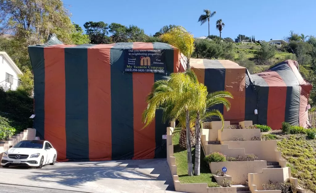 Termite Fumigation of a home in Los Angeles