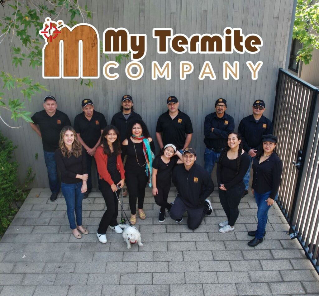 My Termite Company Team with Logo