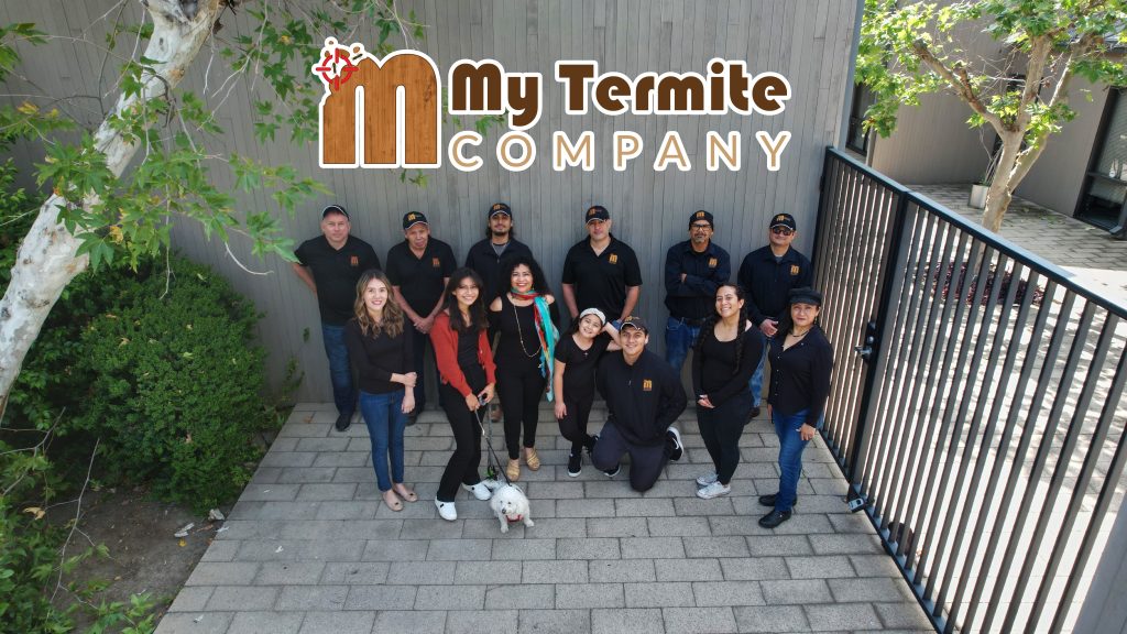 My Termite Company Team
