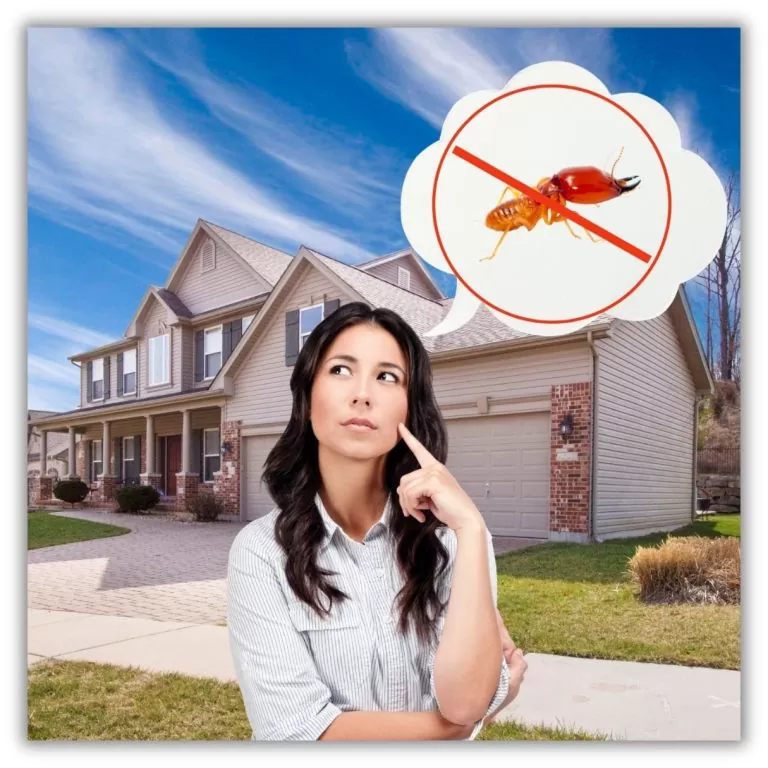 Person Thinking about getting rid of termites in front of a house