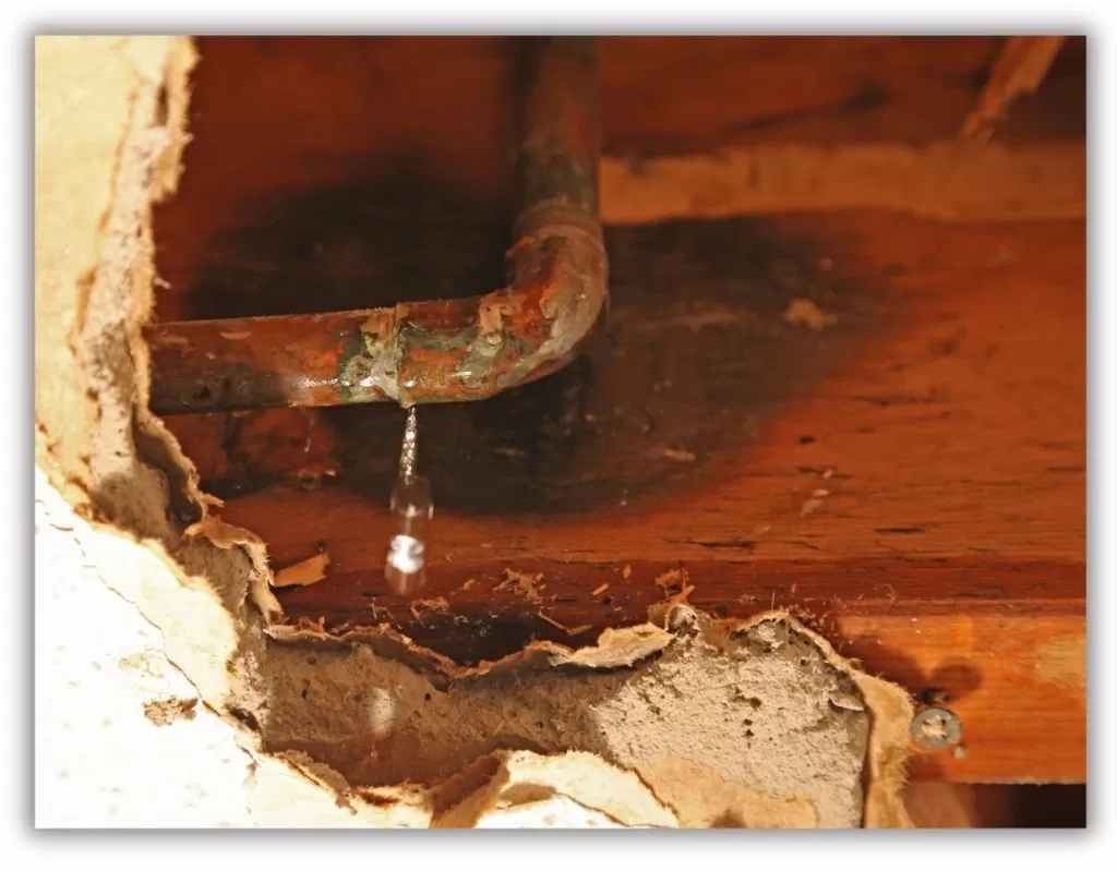 Plumbing Leak Under House