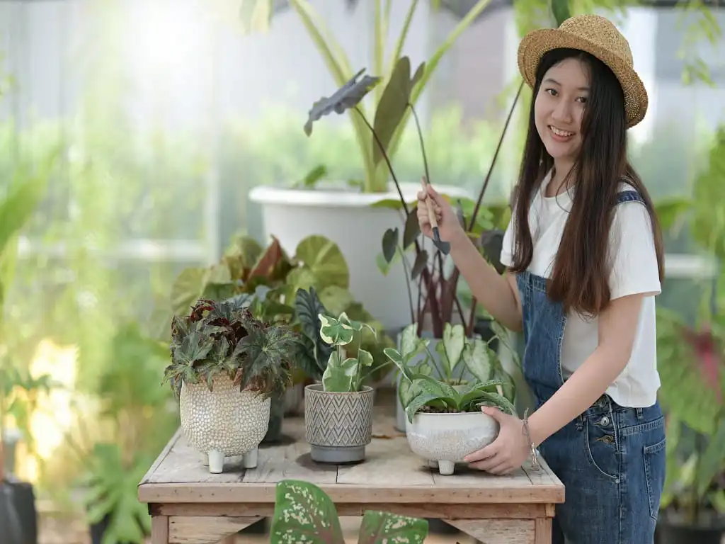 Plant Nursery