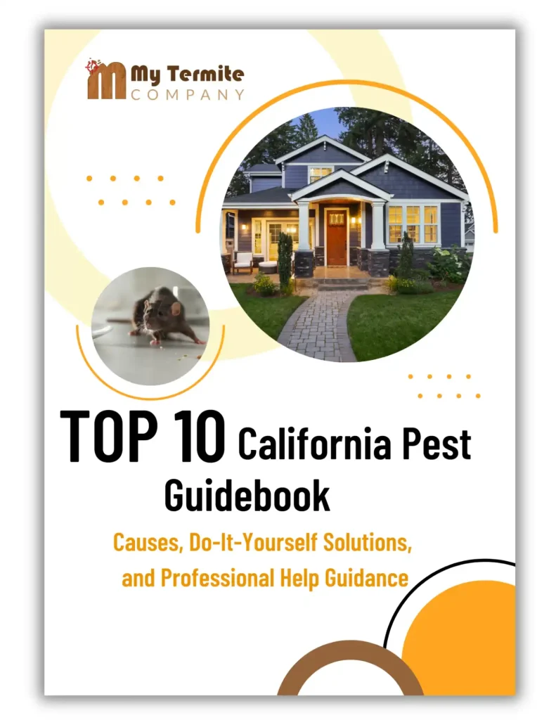 Top 10 Pest Guidebook